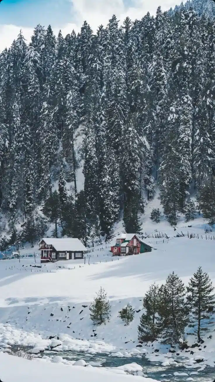 Valley of Dreams Kashmir Honeymoon Special