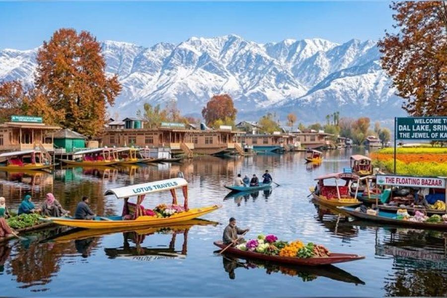 Glimpse of Srinagar and Gulmarg